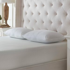 La-Z-Boy Fiber Density Pillow